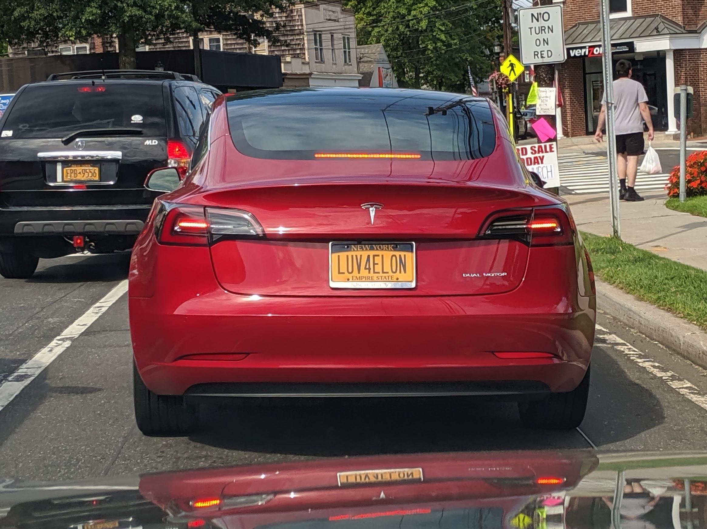 Love For Elon Vanity Plate