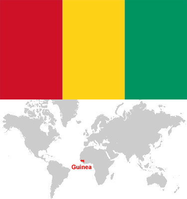 Guinea-car-sales-statistics