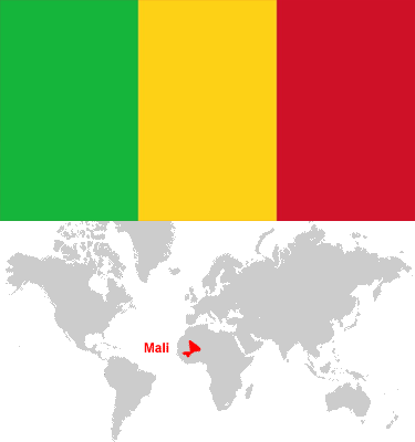 Mali-car-sales-statistics