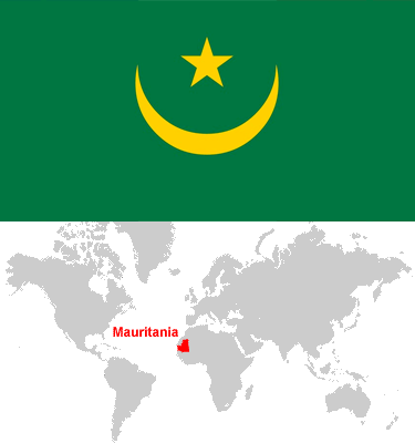 Mauritania-car-sales-statistics