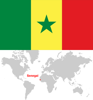 Senegal-car-sales-statistics