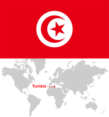 Tunisia-car-sales-statistics