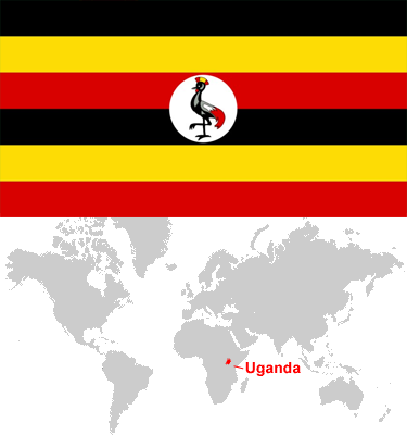 Uganda-car-sales-statistics
